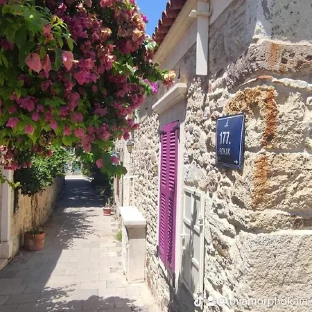 Mi Phokaia Foça