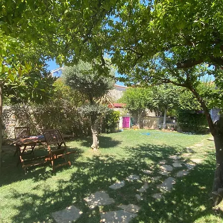 Mi Phokaia Foça